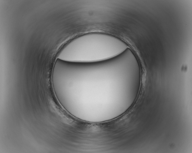 X0000114020249200910021023