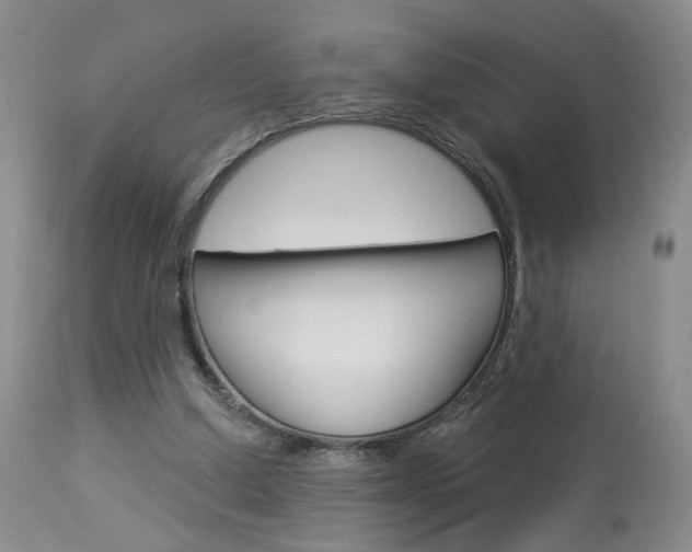 X0000114020250200910021023