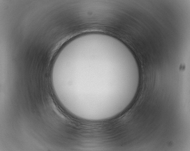 X0000114020252200910021023