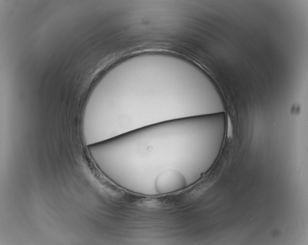 X0000114020253200910021023
