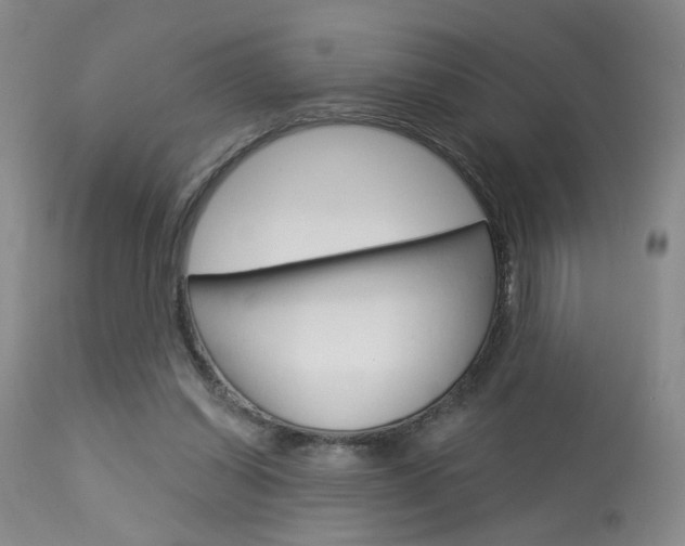X0000114020254200910021023