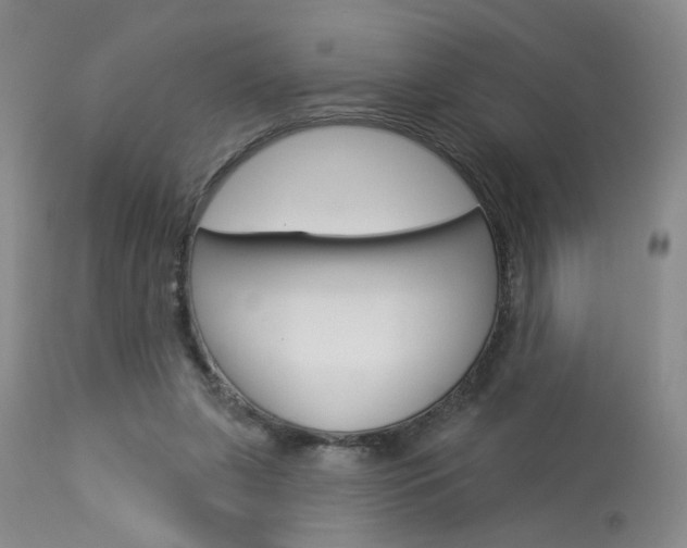 X0000114020255200910021023