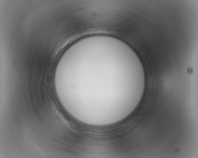 X0000114020256200910021023