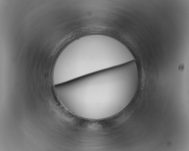 X0000114020258200910021023