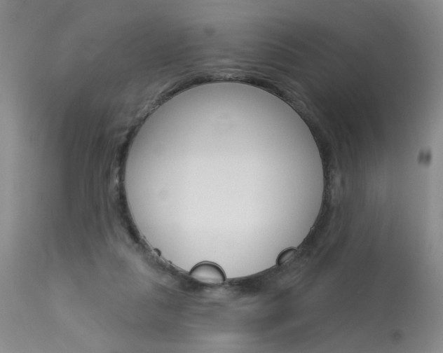 X0000114020259200910021023