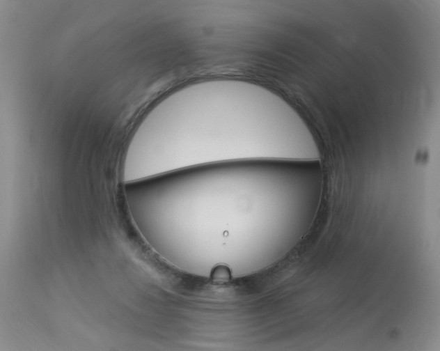 X0000114020260200910021023