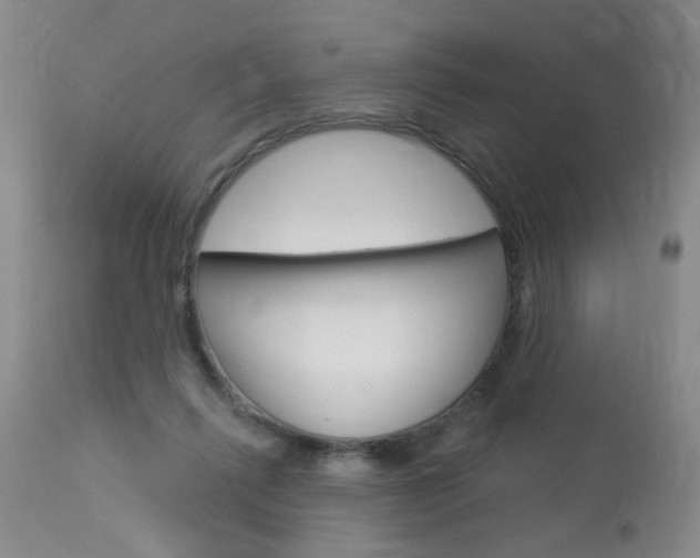 X0000114020262200910021023