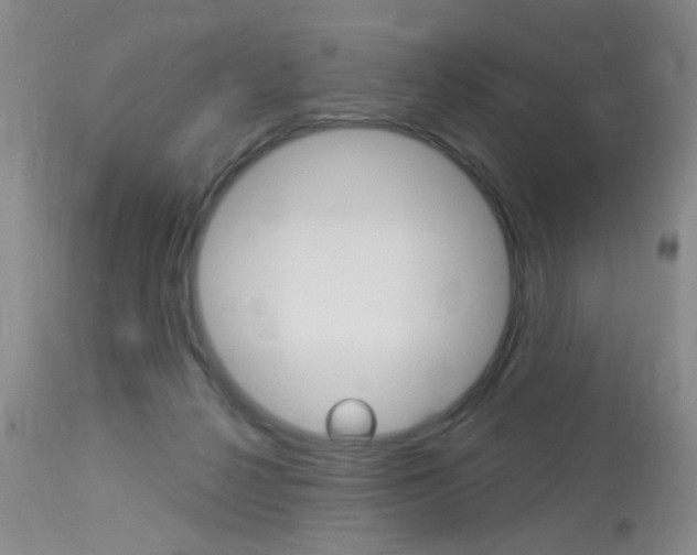 X0000114020264200910021023