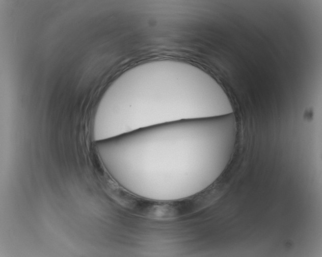 X0000114020275200910021023