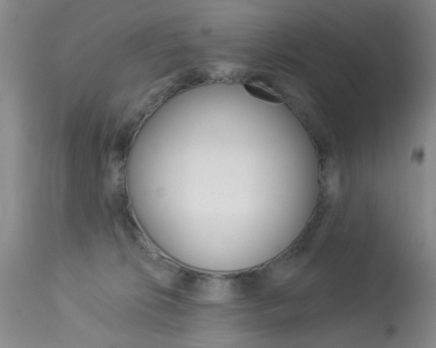 X0000114020276200910021023