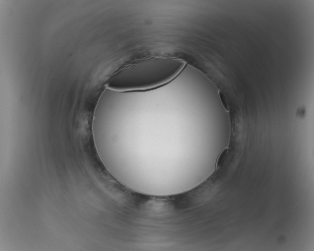 X0000114020280200910021023