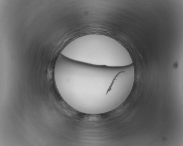 X0000114020282200910021023