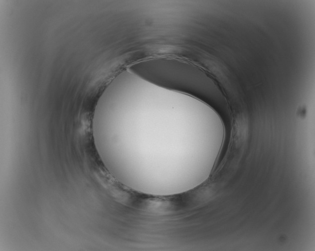 X0000114020284200910021023