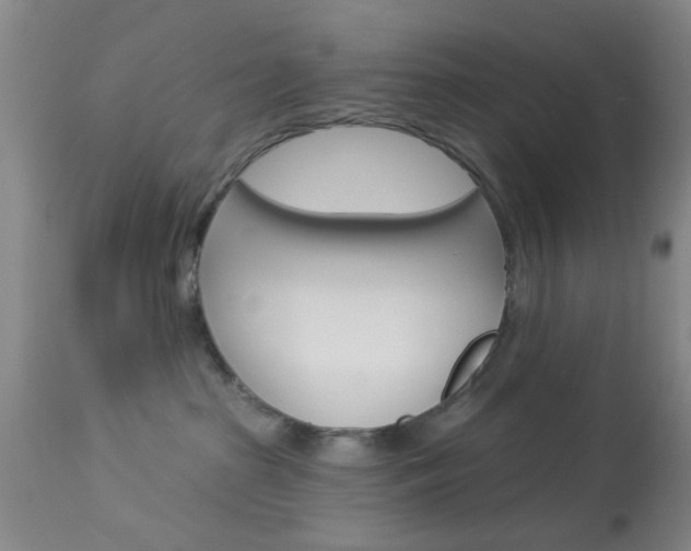 X0000114020285200910021023