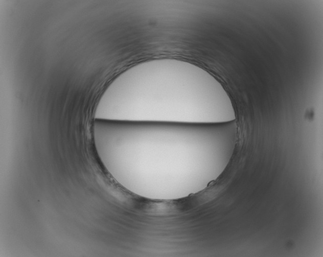 X0000114020286200910021023