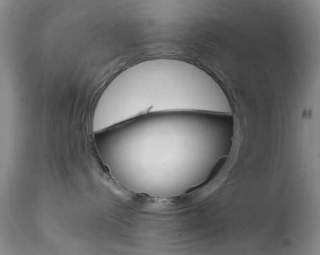 X0000114020288200910021023