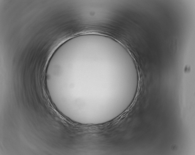X0000114020289200910021022