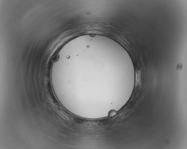 X0000114020291200910021022