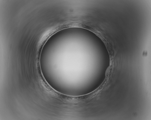 X0000114020293200910021022