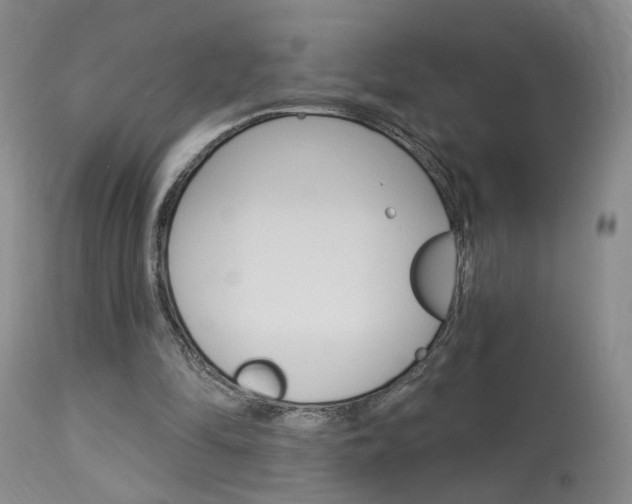 X0000114020294200910021022
