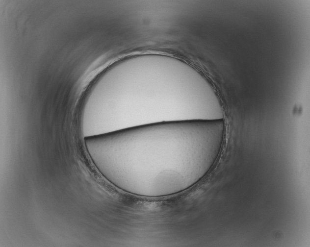 X0000114020295200910021022