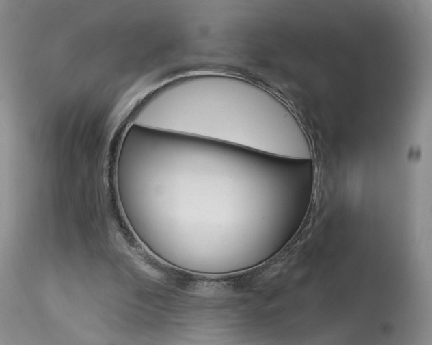 X0000114020296200910021022