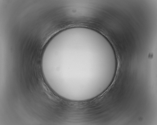 X0000114020297200910021022