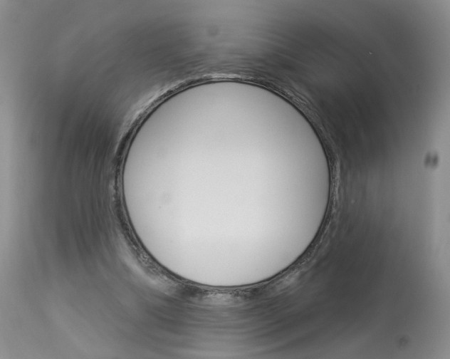 X0000114020298200910021022