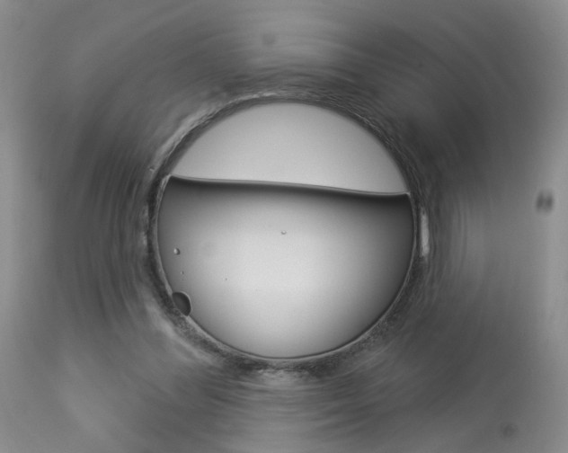 X0000114020300200910021022