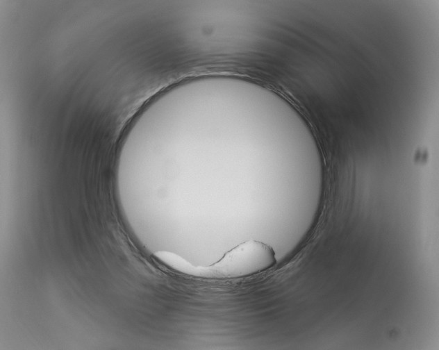 X0000114020301200910021022