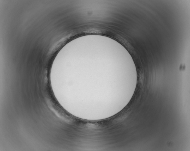 X0000114020302200910021022