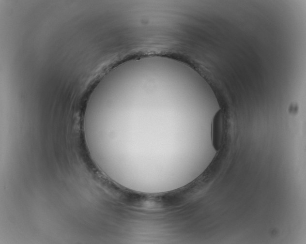 X0000114020308200910021022