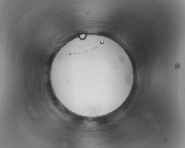 X0000114020311200910021022