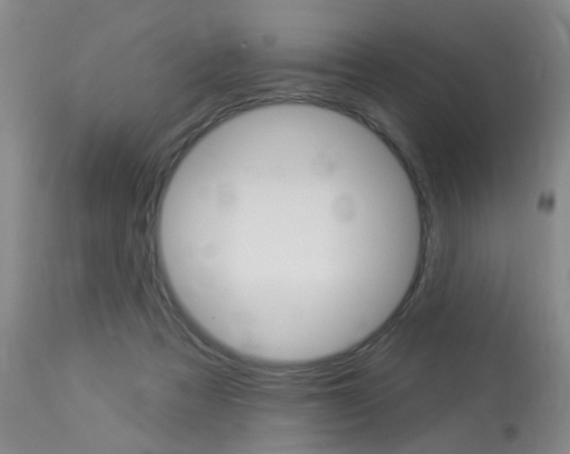 X0000114020313200910021022