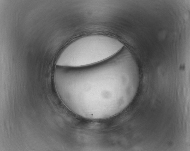 X0000114020315200910021022