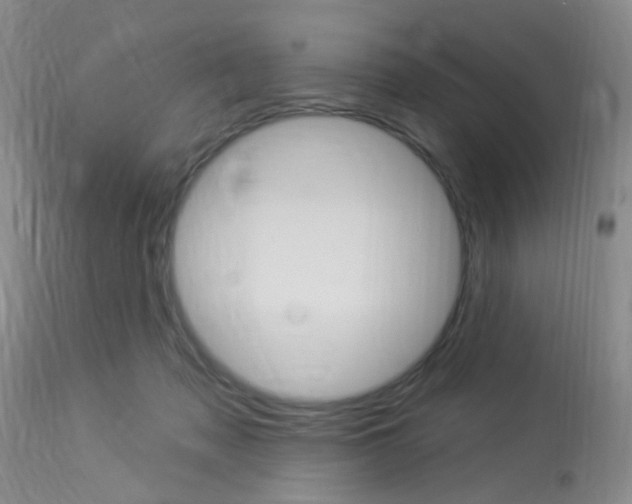 X0000114020317200910021022
