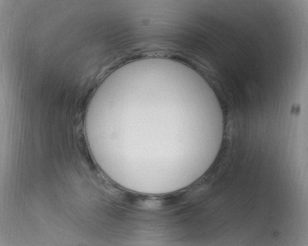 X0000114020318200910021022