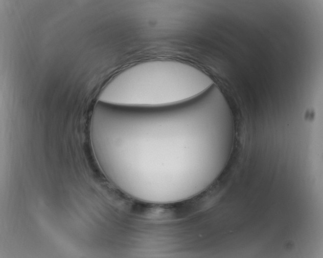 X0000114020319200910021022