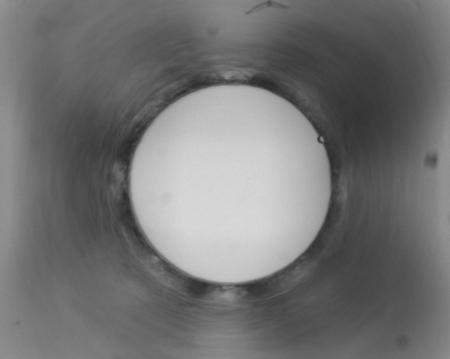 X0000114020321200910021022