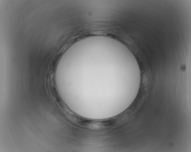 X0000114020322200910021022