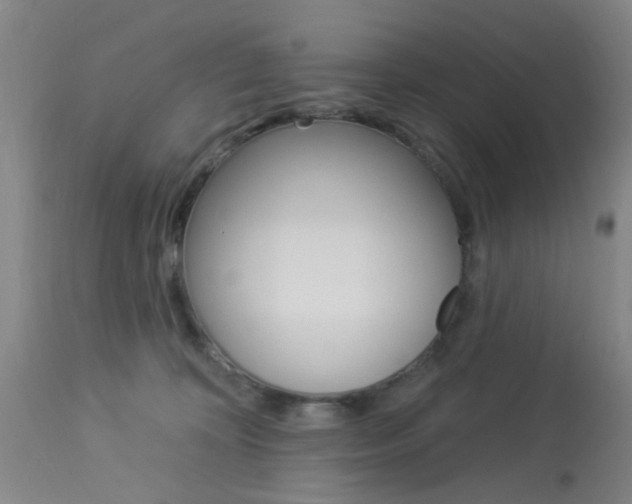 X0000114020324200910021022