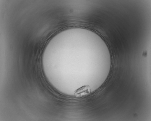X0000114020325200910021022