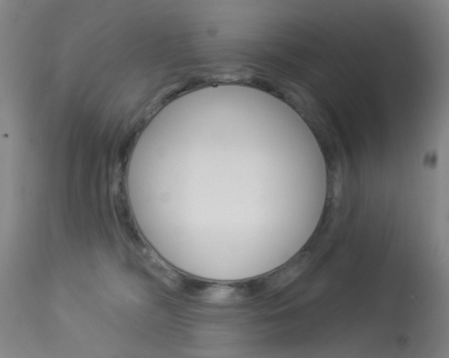 X0000114020326200910021022