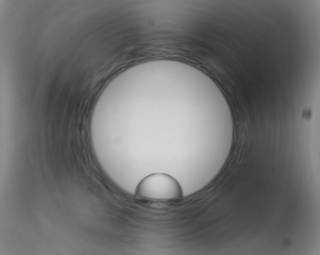 X0000114020327200910021022