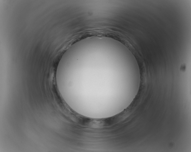 X0000114020328200910021022