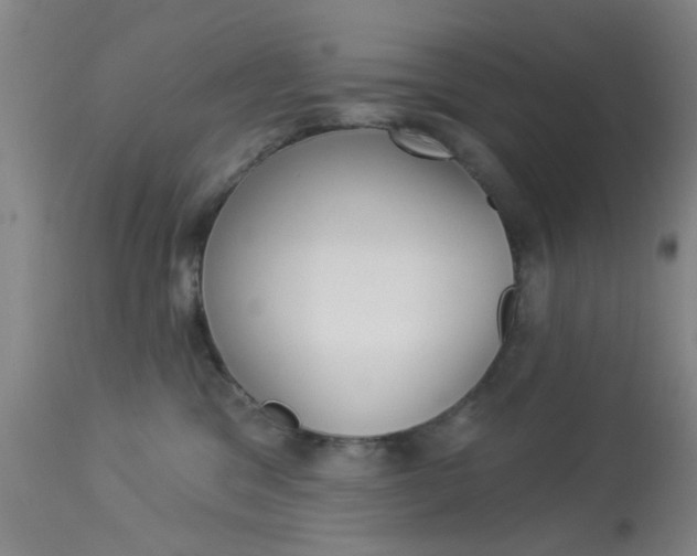 X0000114020329200910021022