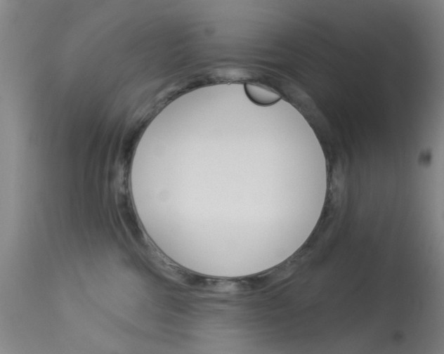 X0000114020330200910021022