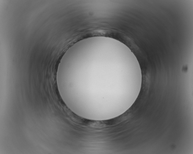 X0000114020331200910021022