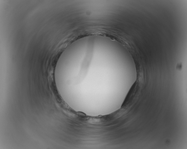 X0000114020332200910021022