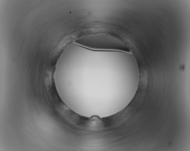 X0000114020333200910021022